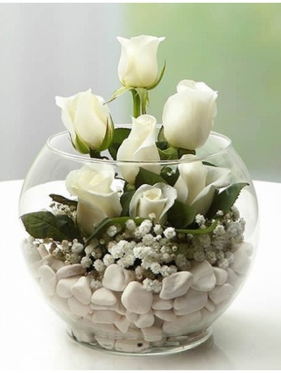 Akvaryumda Beyaz Güller